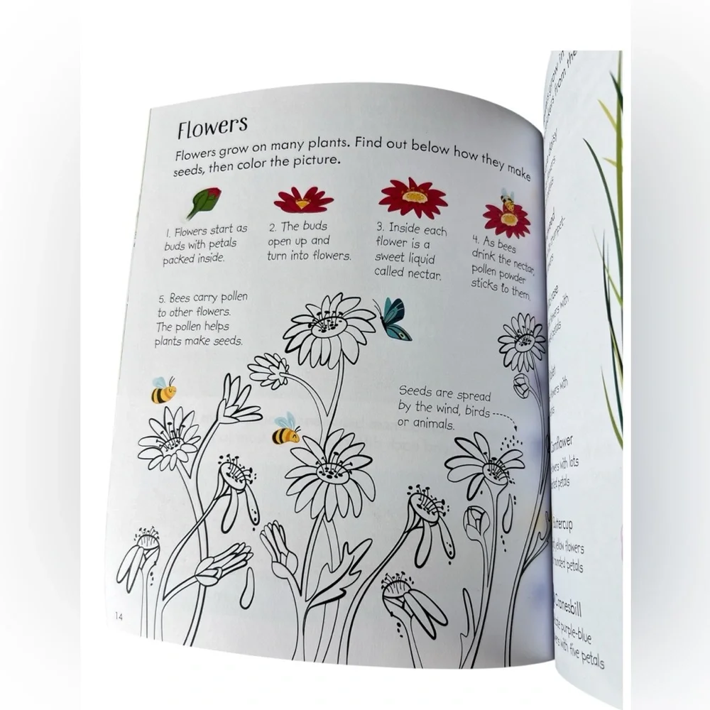Usborne Little Children’s Nature Activity Book